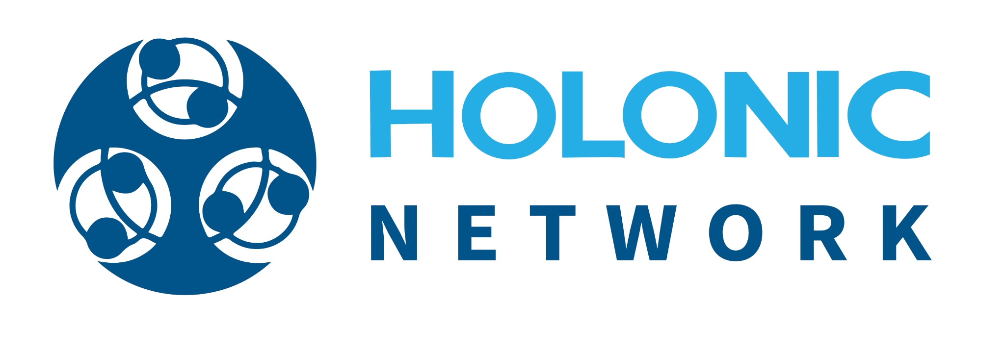 Holonic Network